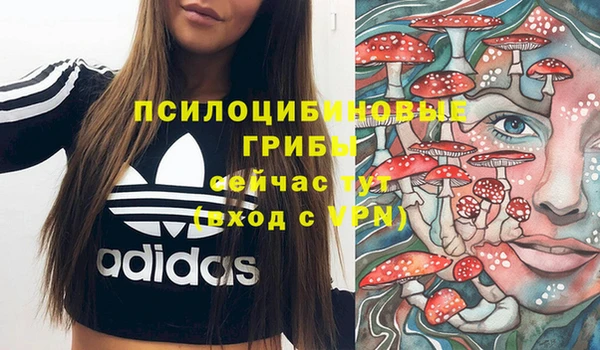 СК Зуевка