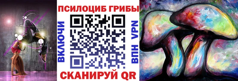 купить наркоту  Карасук  kraken ССЫЛКА  Псилоцибиновые грибы Magic Shrooms 