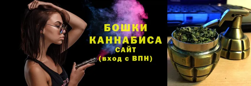 shop как зайти  mega зеркало  Карасук  Канабис конопля 